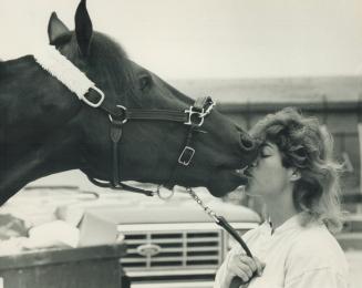 A kiss for good luck: Groom Kelly Viens busses Runnymede Lobell, a 3-year-old pacing sensation and a top contender for Saturday's $1 million North America Cup Greenwood