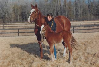 First foal finds freedom at last