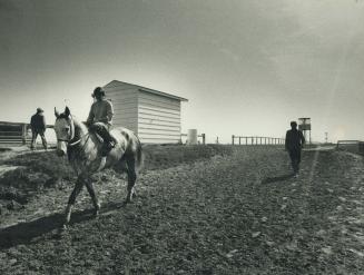 It's a serene, refined world where Bill Marko trains his prized thoroughbred Frosty'