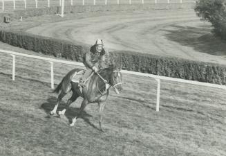 Sports - Horses - Race - Named - Secretariat