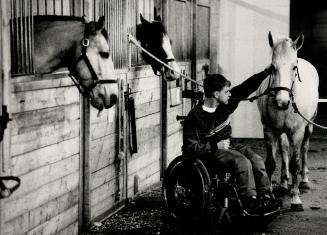 Good grooming: Ben Devoy, 18, gives Bridget a brushing at a stable used by the Community Association for Riding for the Disabled, which helps youngsters learn to ride