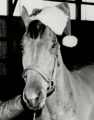 Bompago, Queen's Plate winner