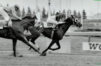 At bottom left, Premier Action (3) wins the first stakes of the meet, edging Dr. Adaglo in the Friar Rock