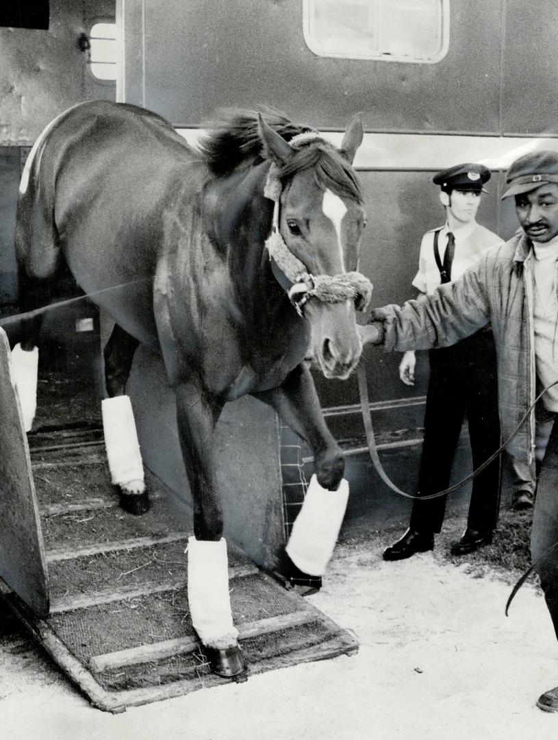 Superhorse is here. Triple Crown winner Secretariat leaves his van at Woodbine yesterday, led by groom Eddie Sweat. The big red 3-year-old will run hi(...)