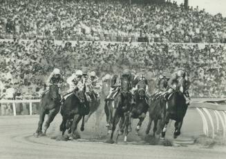 Bompago, in the centre of the pack, was in a great position right from the start of yesterday's Queen's Plate