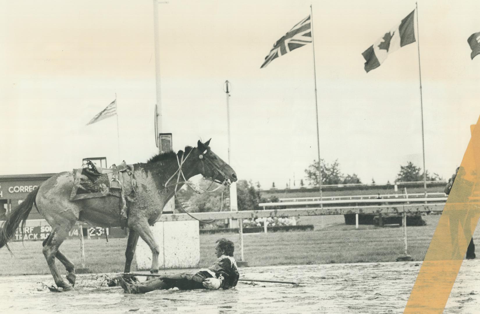 Sports - Horses - Race - Races - Queens Plate (1974-1978)