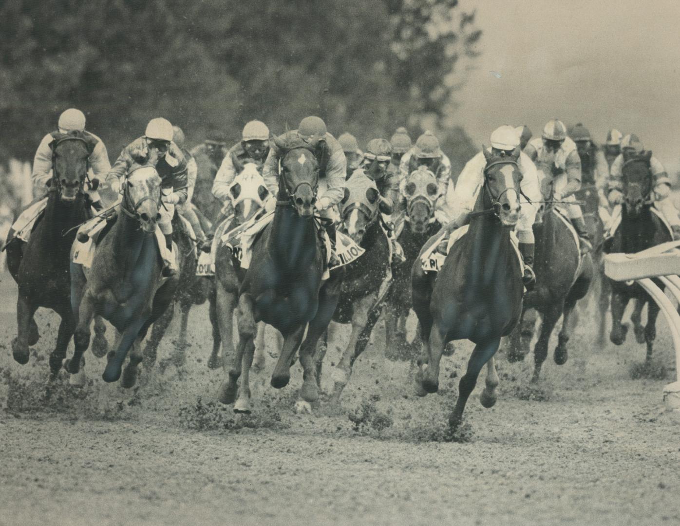 Eight horses are eligible to run in the Queen's Plate Sunday but tomorrow the field will be pared to 21 contenders