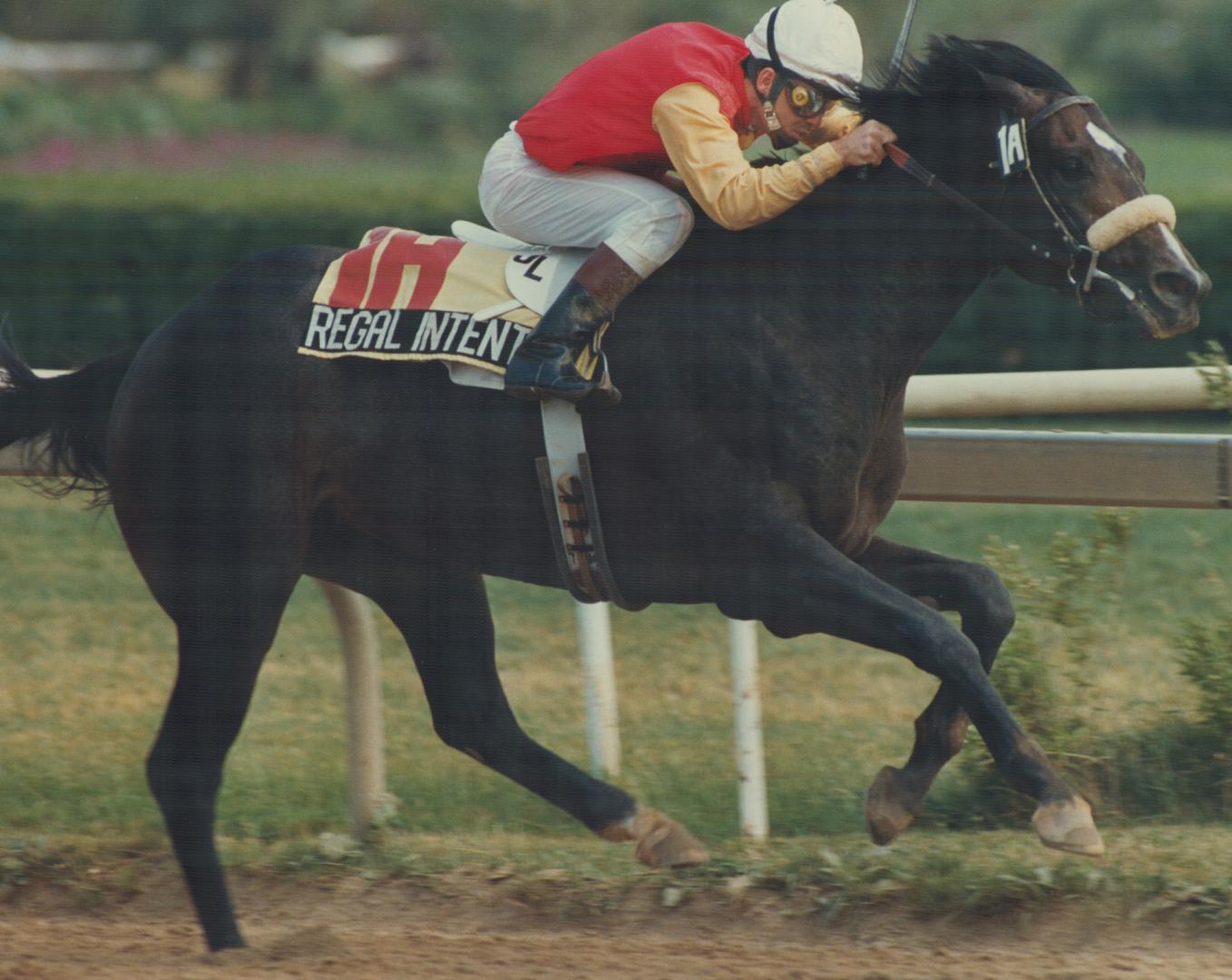 Best intention: Regal Intention, with jockey Jack Lauzon aboard, left the rest of the field in his dust in winning yesterday's 129th Queen's Plate