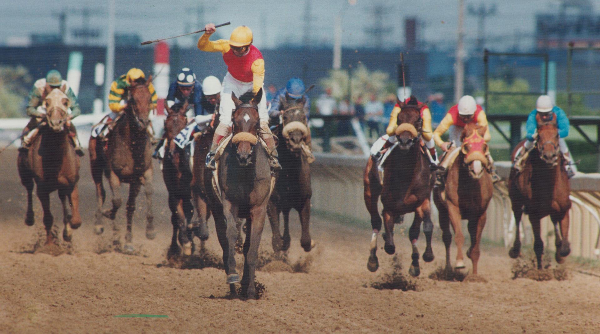 It's a romp: Pat Day raises his whip in triumph as he crosses the finish line aboard Dance Smartly to win the Queen's Plate by eight lengths