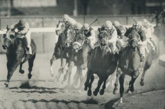 The weather was a chilly 0 degress for the opening of the 1988 throughbred season yesterday at Greenwood but that didn't stop 12,076 fans from showing(...)