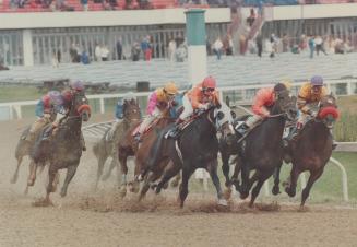 It was pretty soggy going at Woodbine yesterday but not nearly as bad as it was Wednesday when the last six six races on teh card were cancelled becau(...)