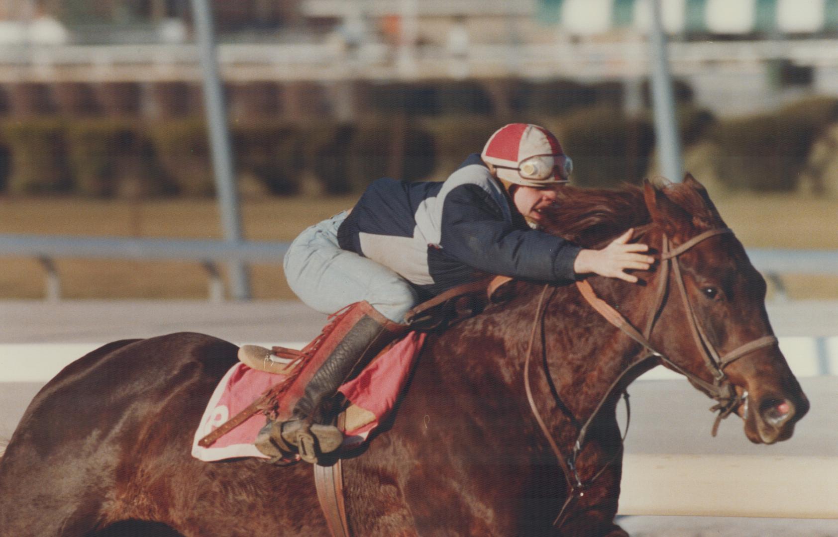 It's pretty cold work for horses and jockeys down by the lake at Greenwood, but the long season is nearly at an end for the thoroughbreds. Last day of(...)