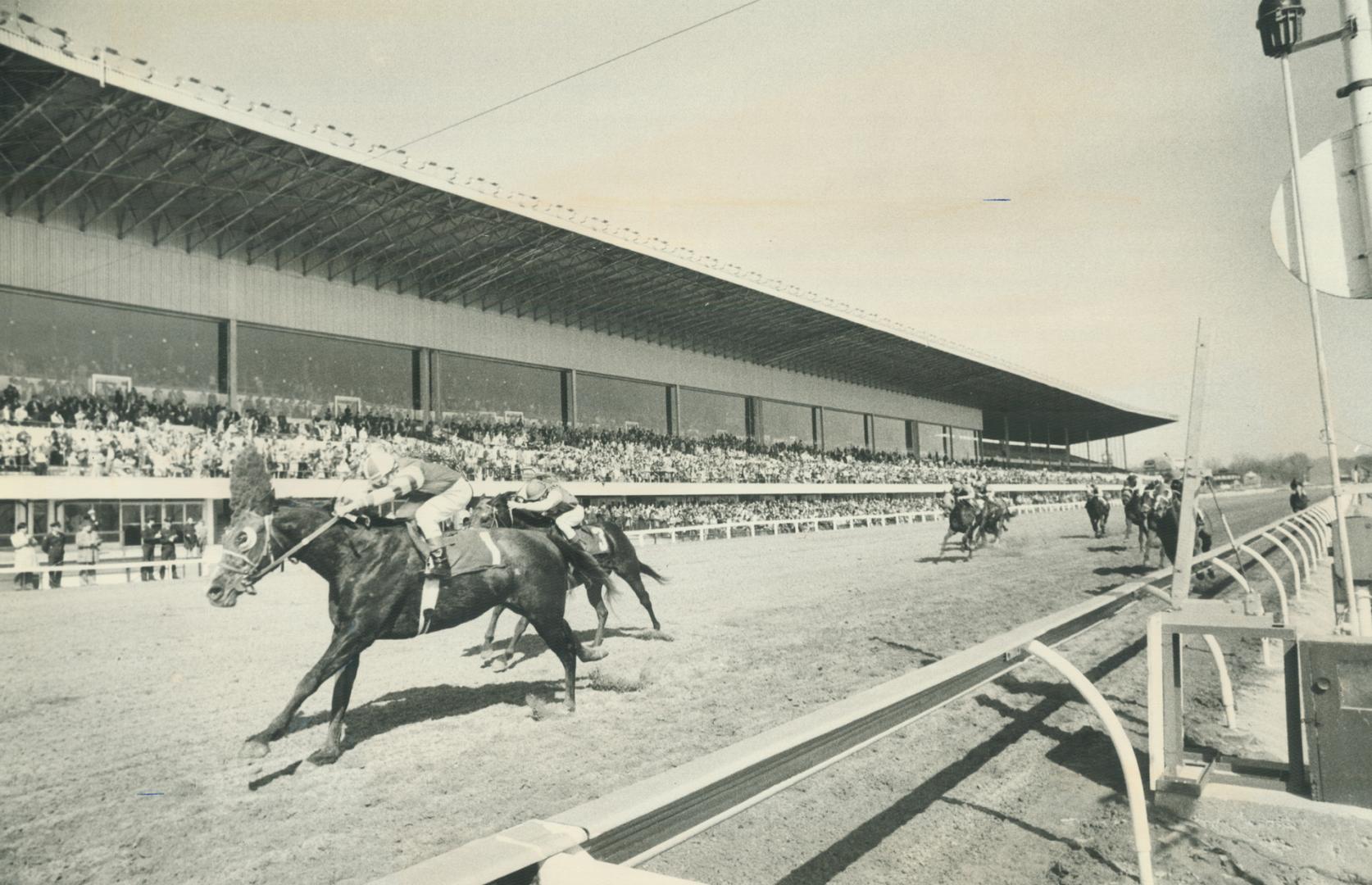 Sports - Horses - Race - Tracks - Greenwood (-1979)