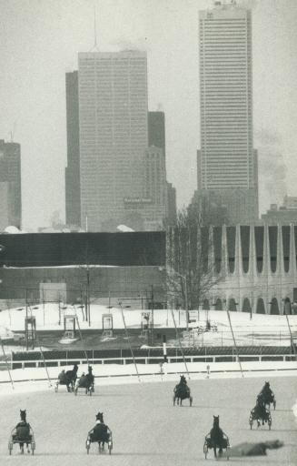 A group of trotters go through their daily morning training at the Greenwood Race Track, while another facet of Metro Toronto life - massive skyscrape(...)