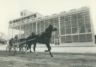 Sports - Horses - Race - Tracks - Misc