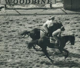 Sports - Horses - Race - Tracks - Woodbine (1980)