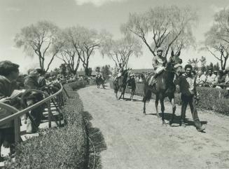 Sports - Horses - Race - Tracks - Woodbine (1980)