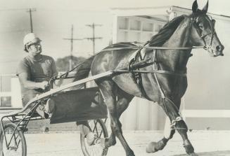 Sir Dalrae could give driver Ron Feagan one of the fastest rides of standardbred driving career tonight in First Division of Canadian Pacing Derby at (...)