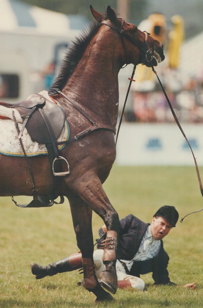 Ride'em cowboy. Mark Elder is dumped by his horse Gregor during a triple jump at World Cup Grand Prix in Collingwood and could not remount