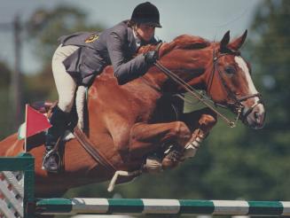 Ferner 13 and rider Margie Gayford are all business as they clear a jump yesterday during the Open Jumper class competition at Sunnybrook Park. Canada(...)