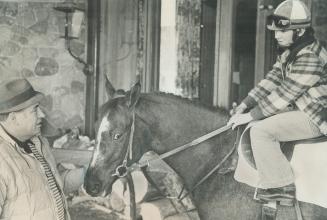 Roger Turcotte, 19, exercising Scotty Boo at Lansom Farm near Woodbine track yesteday, will be fourth Turcotte to become jockey when he makes debut soon