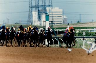 Queen's plate 1st time past grandstand