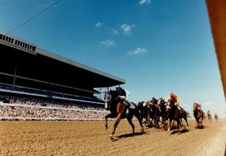 Canadian thoroughbred racing returns to CBC television with two major stakes races Sunday afternoon from Woodbine