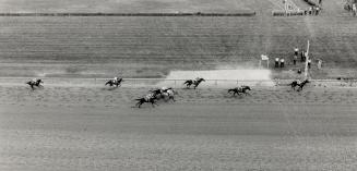 And the winner is: Regal intention wasn't the Sam-Son Farm's horse that was supposed to win the Queen's Plate, but he left his favored stablemate Regal Classic (second) eating his dust at the finish