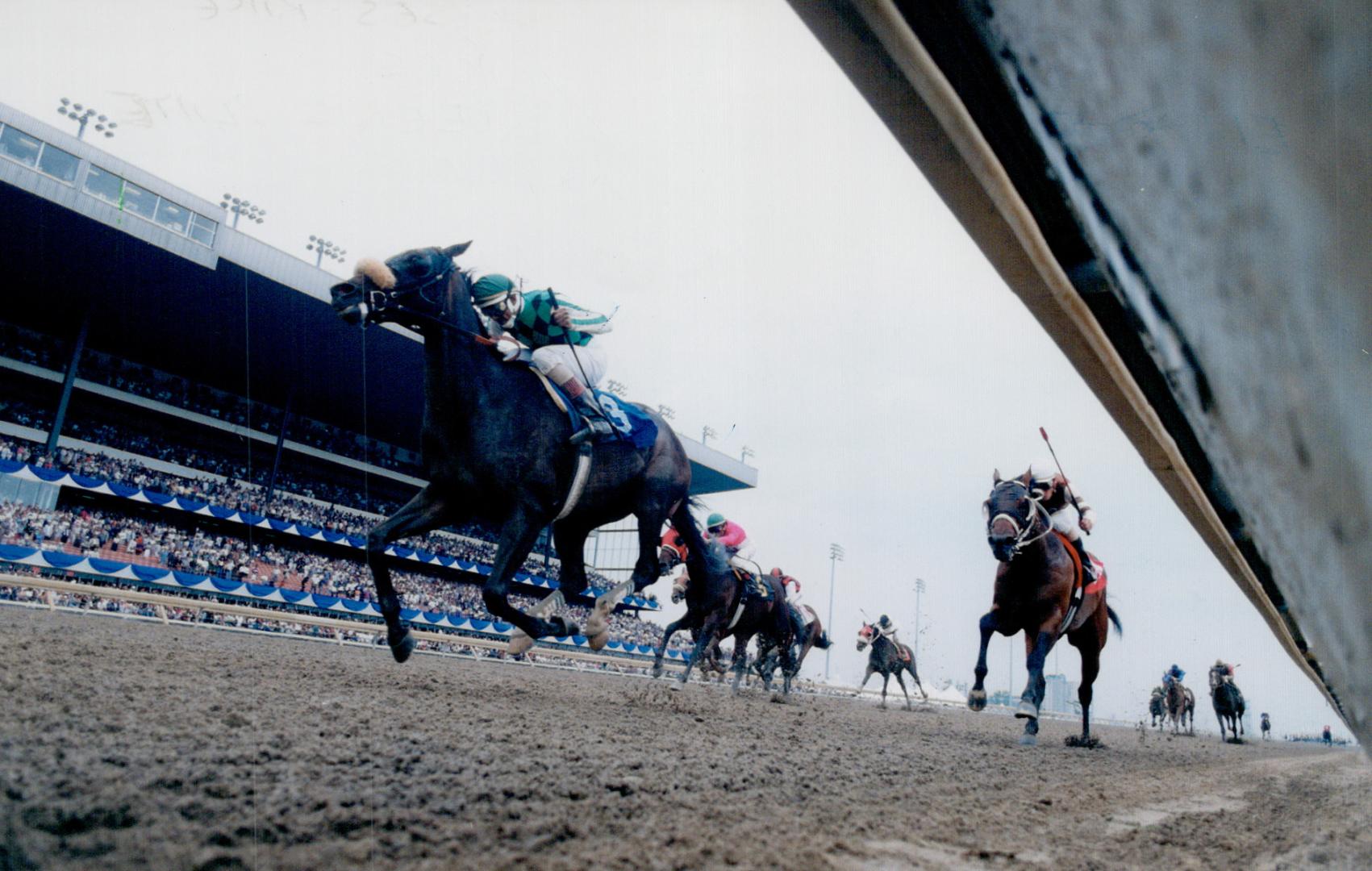 Emile Ramsammy on Vcter Cooley wins Stephanatis 2nd (r)