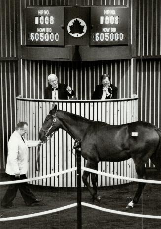 Windfields Farm filly, a half-sister to Epsom Derby champion Secreto