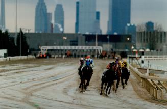 Sports - Horses - Race - Tracks - Greenwood (1987-)