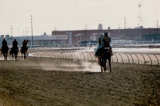 Sports - Horses - Race - Tracks - Greenwood (1987-)