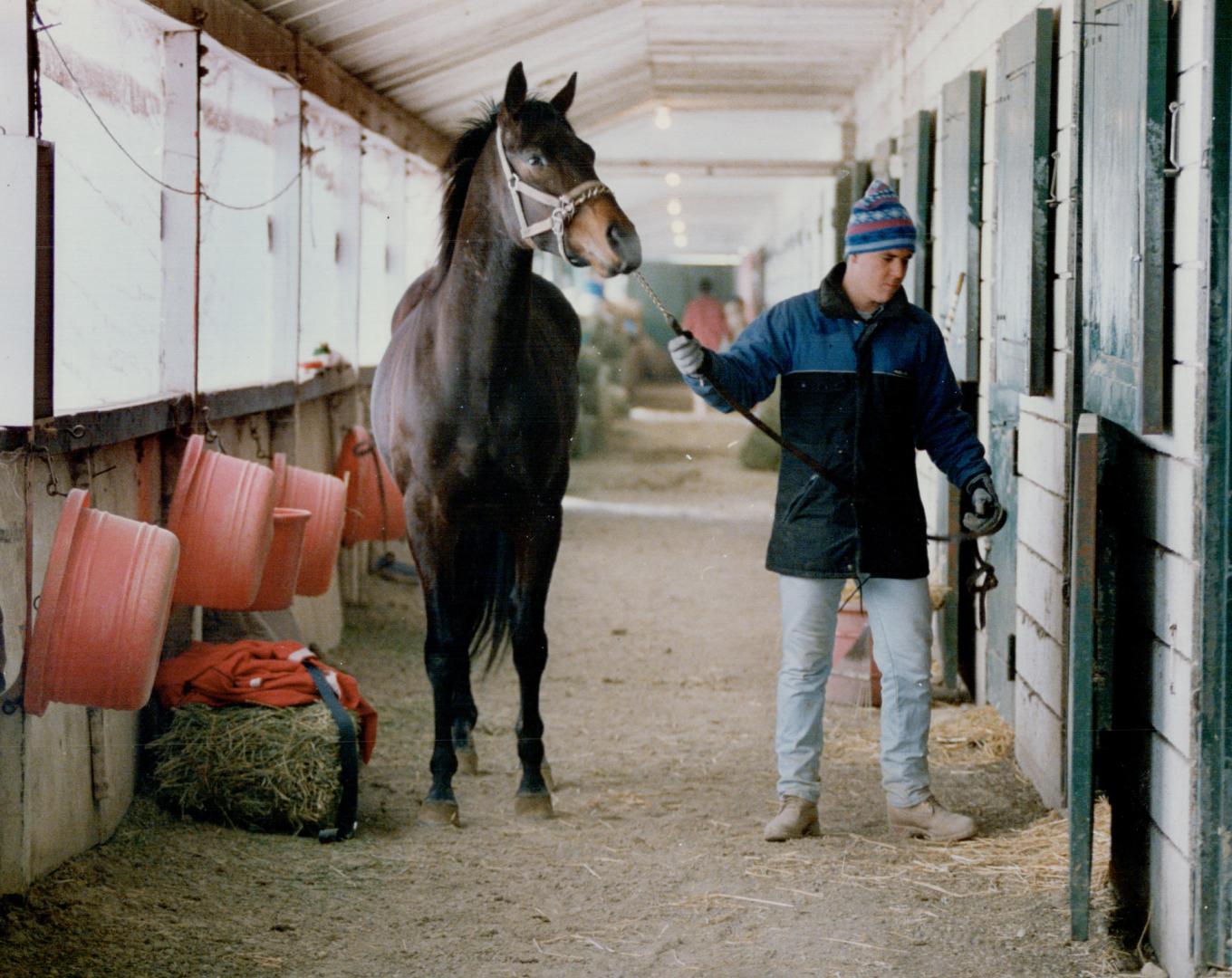 Thoroughbred racing resumes at Greenwood in five weeks