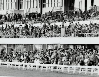 Big green crowd: The St. Paddy's Day crowd of 14,239 yesterday at Greenwood saw the track record smashed by a 3-year-old colt, Canadian Silver, who co(...)