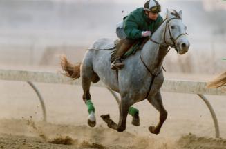 Above right, while another horse drills on training track, middle, and railbirds keep tabs on the workouts