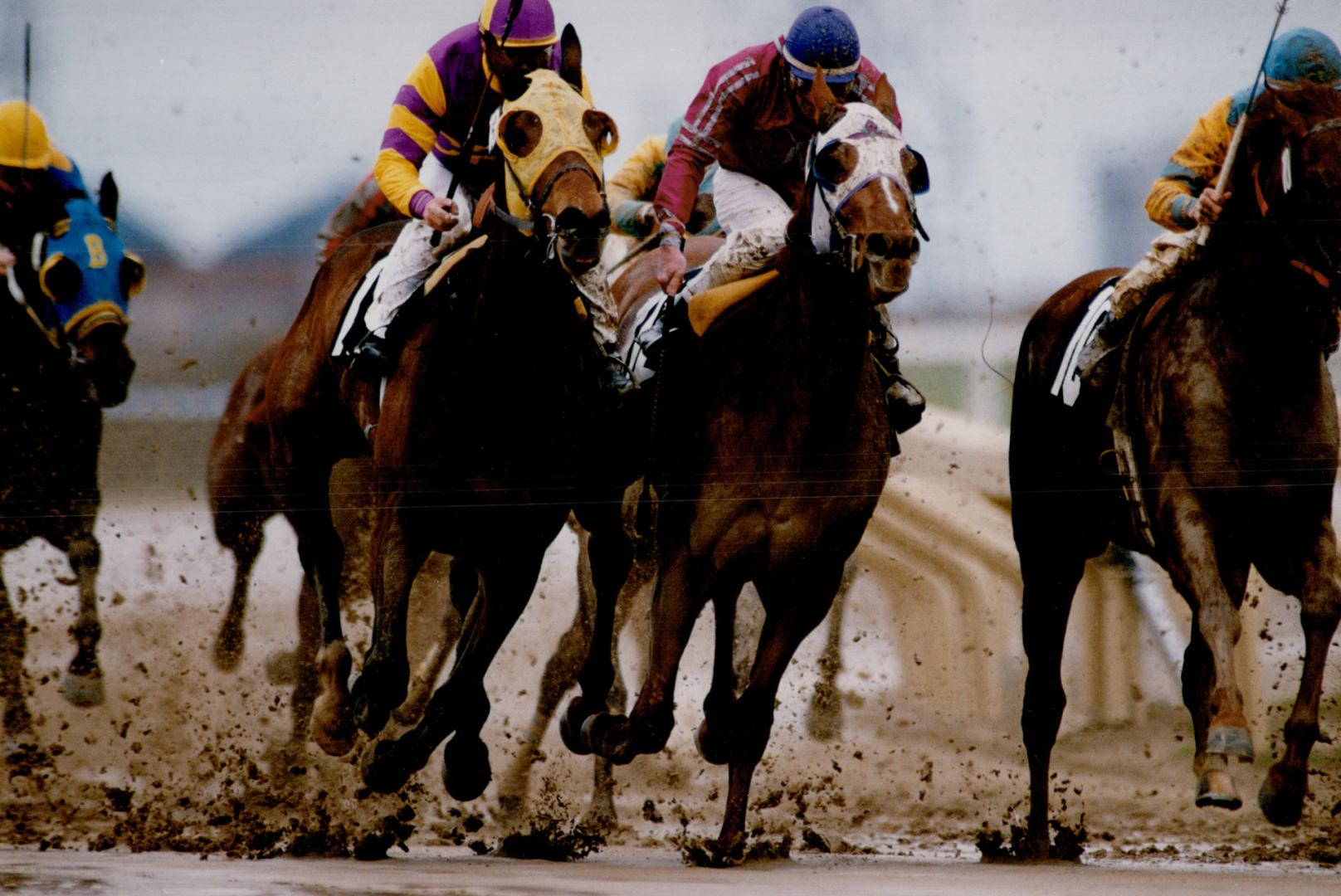 Sports - Horses - Race - Tracks - Woodbine (1980)