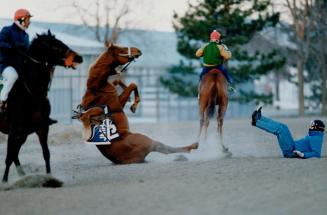 Sports - Horses - Race - Tracks - Woodbine (1980)