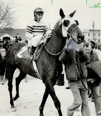 About 11,700 fans were on hand for the opening of Greenwood racetrack, betting $1