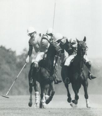 Sports - Polo