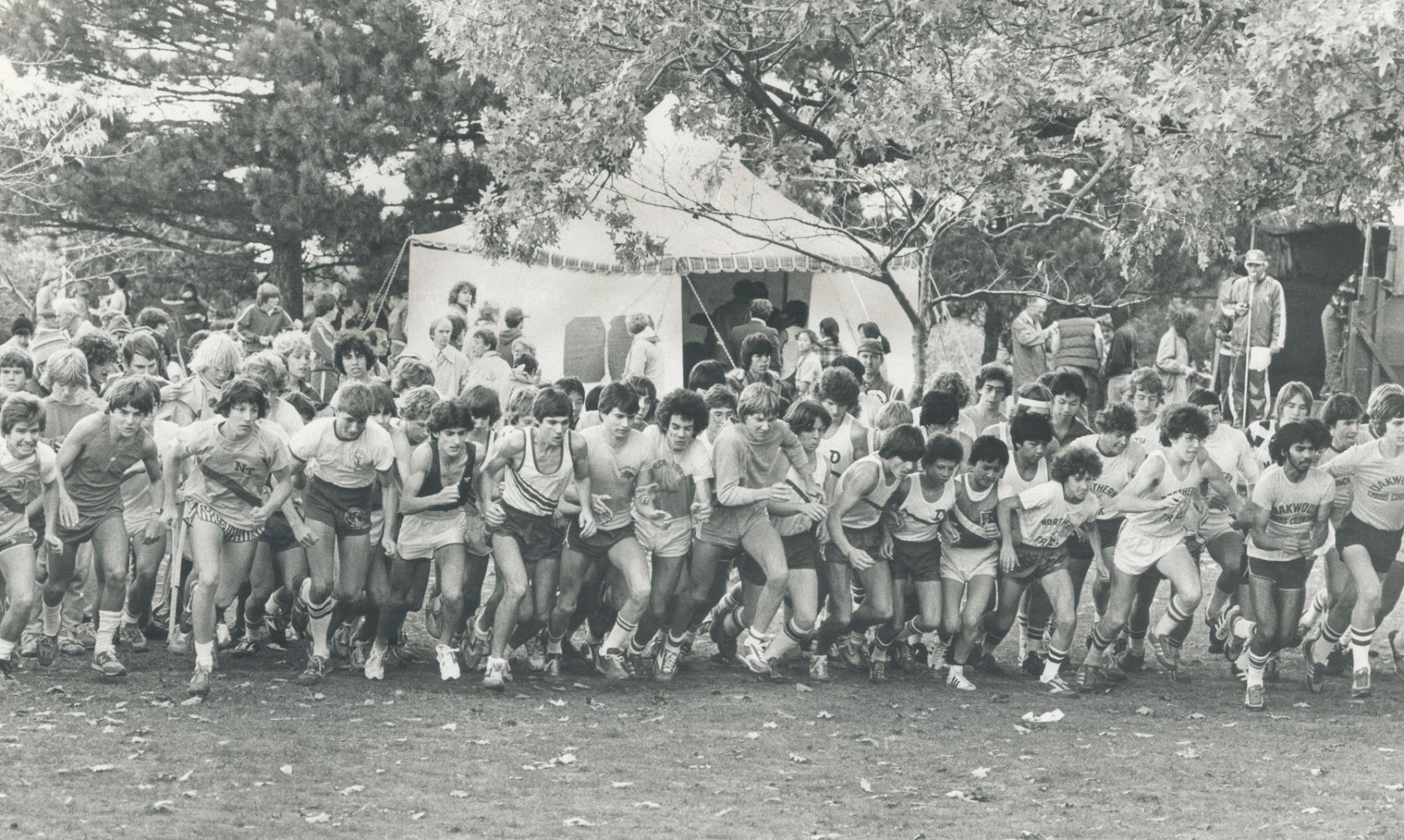 Away they go, It was across country day yesterday in High Park and the start of the junior boy's race was like the rest - crowded fields elbowing for (...)