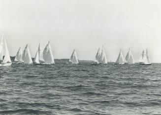 The new look of Lake Ontario on a sunny summer day: White sails on the horizon