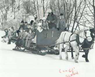 This is a two-horse open sleigh, An old-fashioned treat these snowy winter days is the sleigh rides offered every weekend at Scarborough's Thomson Mem(...)