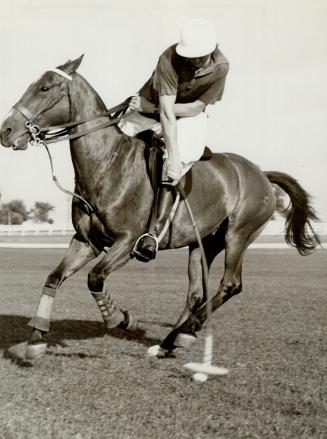 Harold Crang, Toronto Polo Club