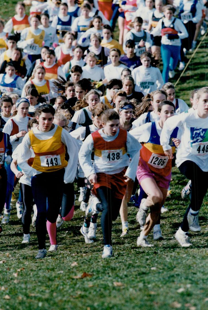 A day at the cross country races, Junior girls compete in Ontario-wide high school cross country championships last week at Heart Lake Conservation Ar(...)