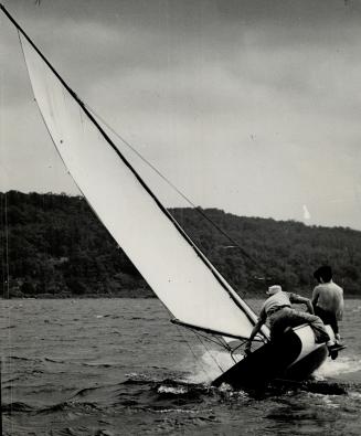 A member of the faculty of Cornell University comes close to upsetting in a stiff breeze on Lake Cayuga