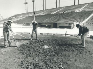 Sports - Stadiums - Canada - Ontario - Toronto - CNE (1980-1985)