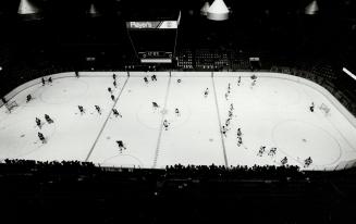 And at the same time view the game in luxury high up away from most of 16,000-plus fans who sit shoulder-to-shoulder at Maple Leaf games