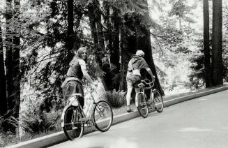 Vancouver's magnificent Stanley Park, nearly 1,000 acres spread along the waterfront, offers everything from birds (below) to bike trails (above) and (...)