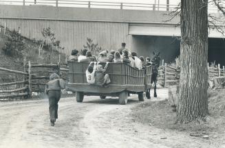 Hitching A Ride ? Pioneer Style, The horse-drawn wagon ride around Black Creek Pioneer Village at Jane St