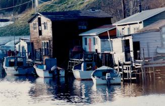 Quidi Vidi Harbour